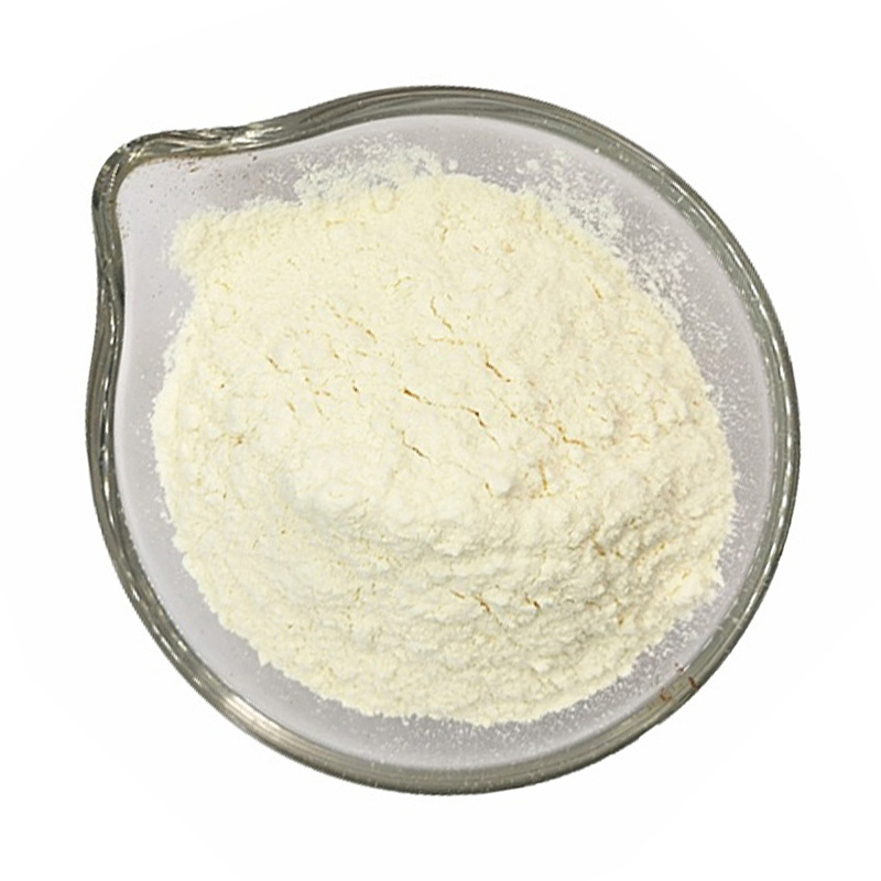 Cebolla en Polvo